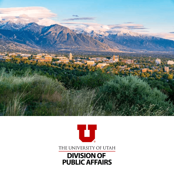 Professional Graduate Degrees for the Common Good