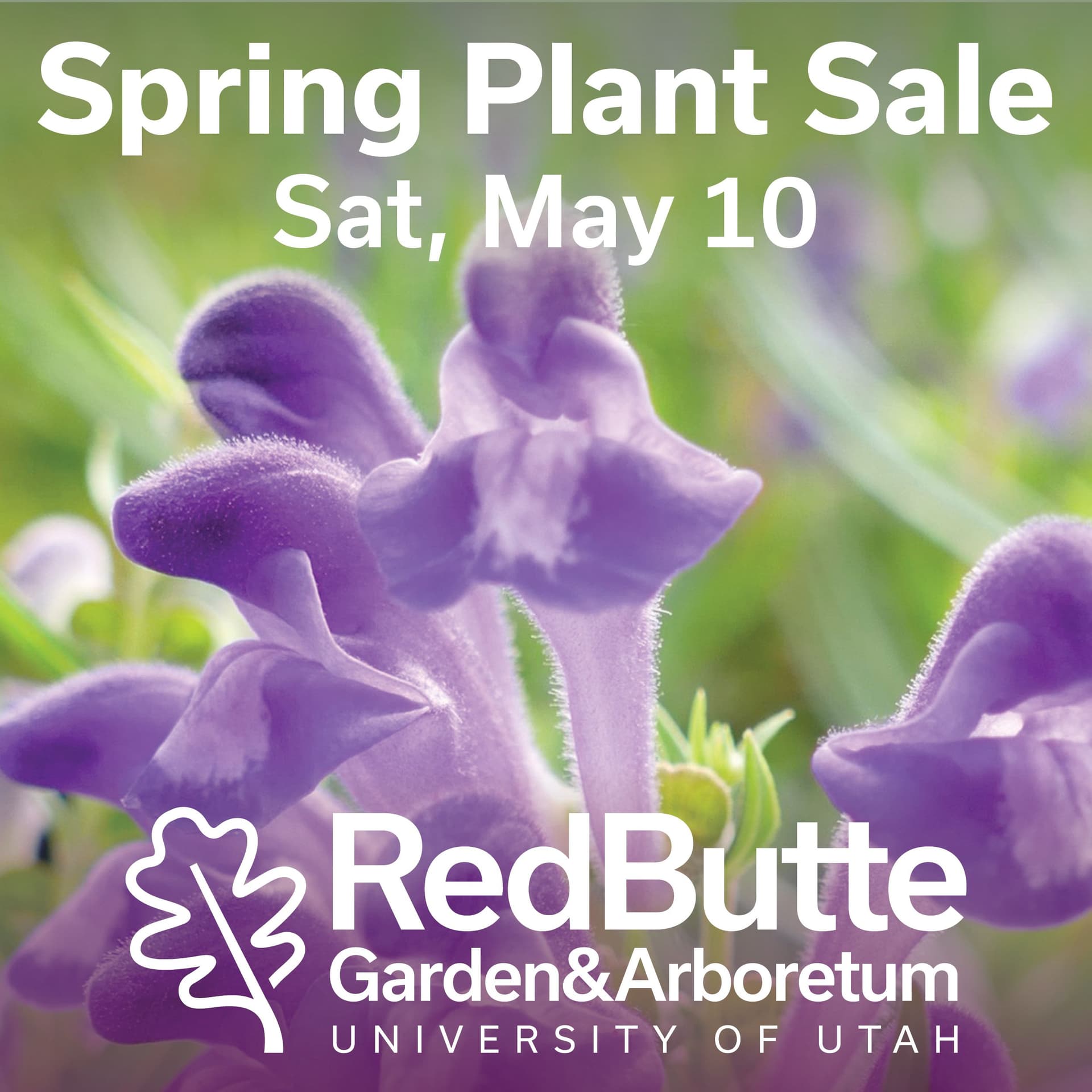Gardening Curious? Visit Red Butte’s Plant Sale