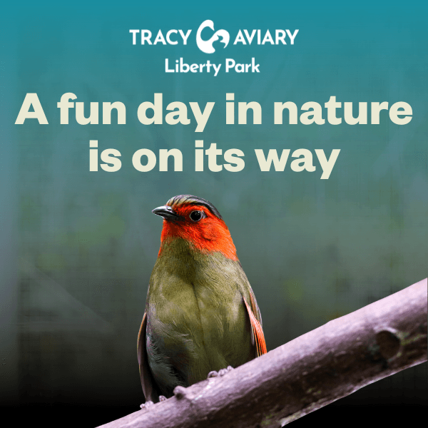 A Fun Day in Nature at Tracy Aviary