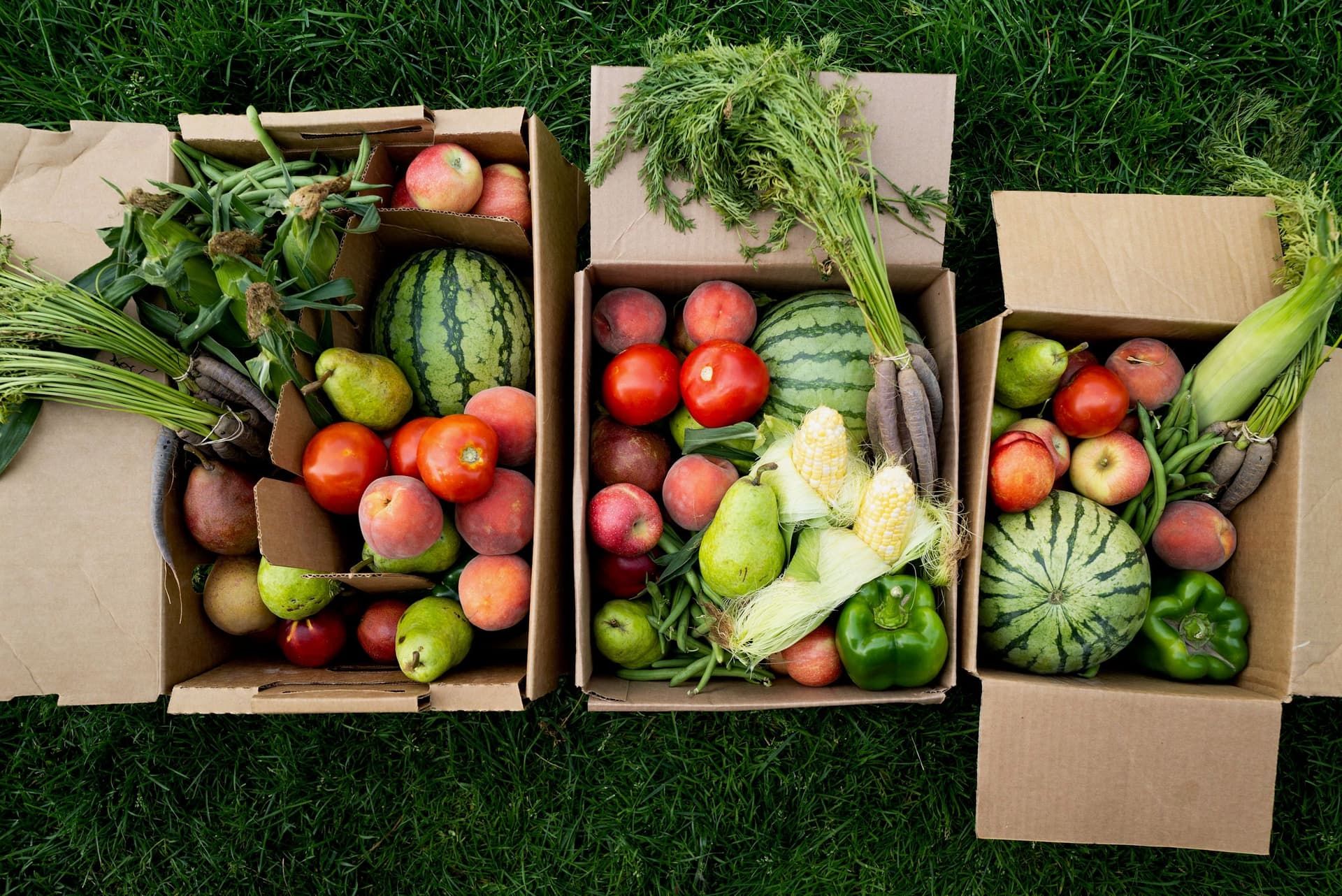 Weekly Farm Fresh Boxes From Tagge’s Fruit
